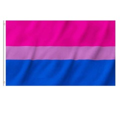 Pride Flag Bisexual
